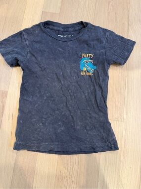 Kids' 'Party Animal' Graphic Tee - Charcoal Blue Dinosaur